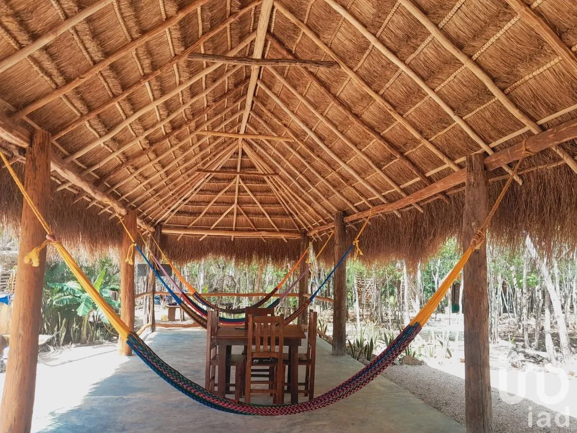 Terreno en Renta en Uspibil, Chemax, Yucatán | NEX-259281 | iad México | Foto 11 de 17
