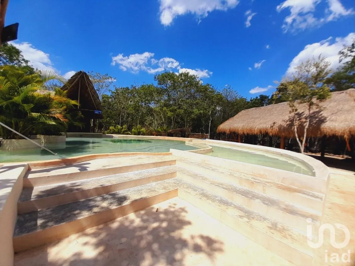 Terreno en Renta en Uspibil, Chemax, Yucatán | NEX-259281 | iad México | Foto 12 de 17