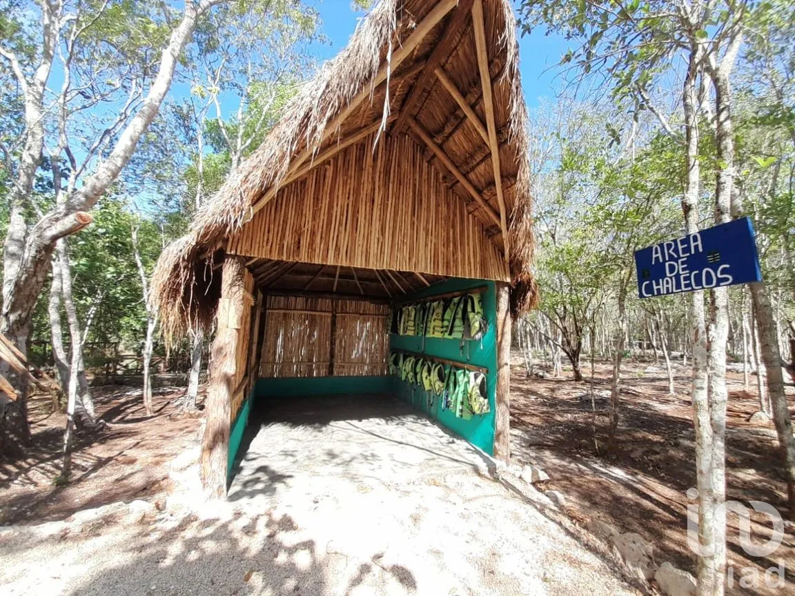 Terreno en Renta en Uspibil, Chemax, Yucatán | NEX-259281 | iad México | Foto 15 de 17