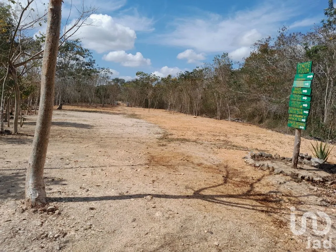 Terreno en Renta en Uspibil, Chemax, Yucatán | NEX-259281 | iad México | Foto 16 de 17