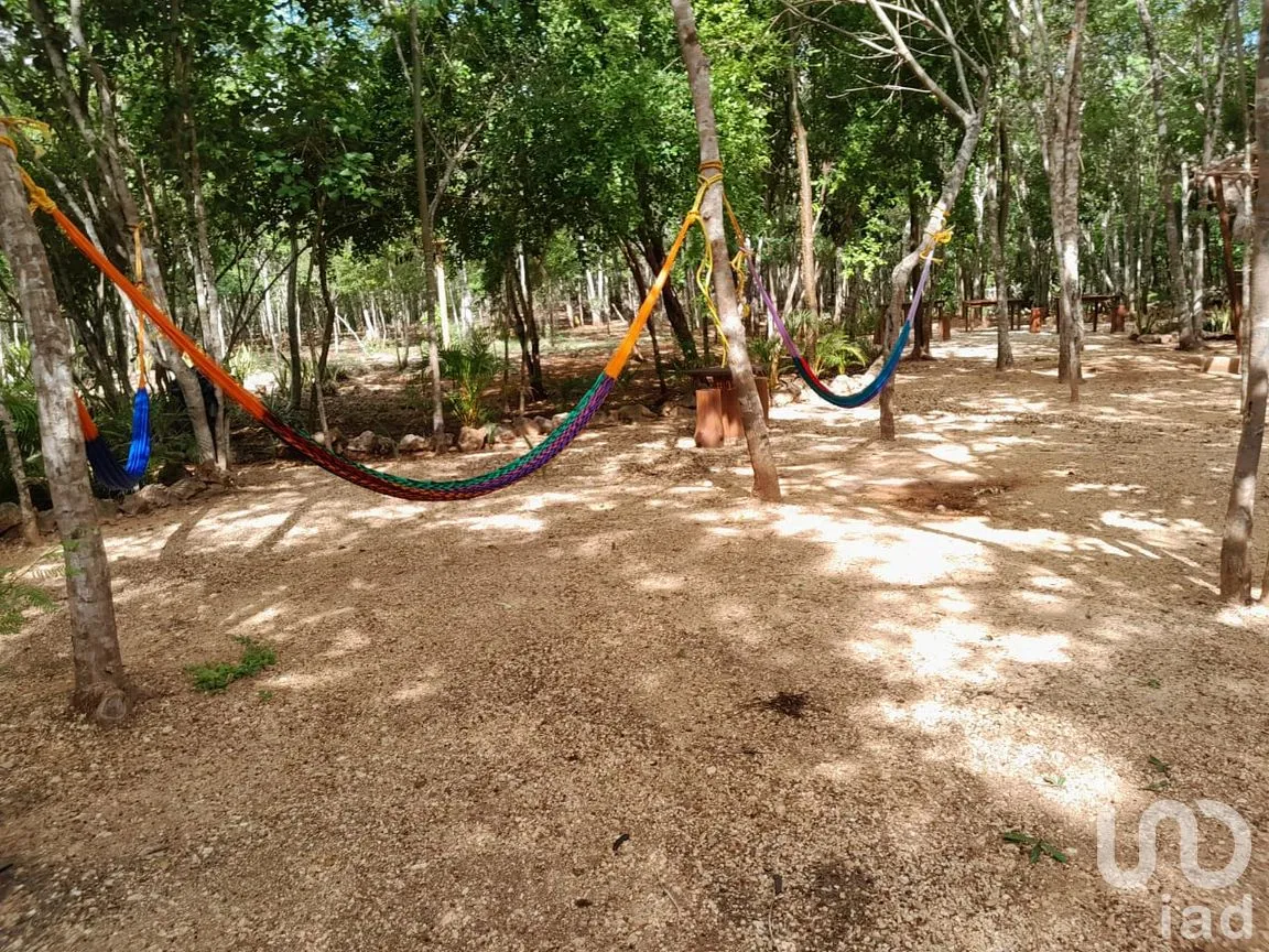Terreno en Renta en Uspibil, Chemax, Yucatán | NEX-259281 | iad México | Foto 17 de 17