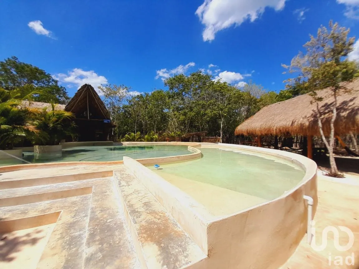 Terreno en Renta en Uspibil, Chemax, Yucatán | NEX-259281 | iad México | Foto 4 de 17