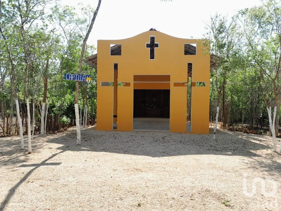 Terreno en Renta en Uspibil, Chemax, Yucatán | NEX-259281 | iad México | Foto 10 de 17
