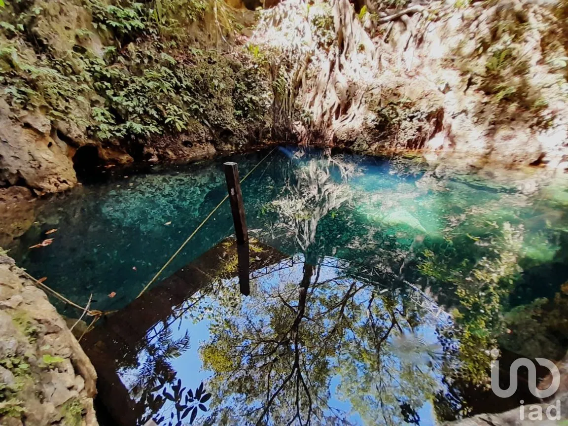 Terreno en Renta en Uspibil, Chemax, Yucatán | NEX-259281 | iad México | Foto 1 de 17