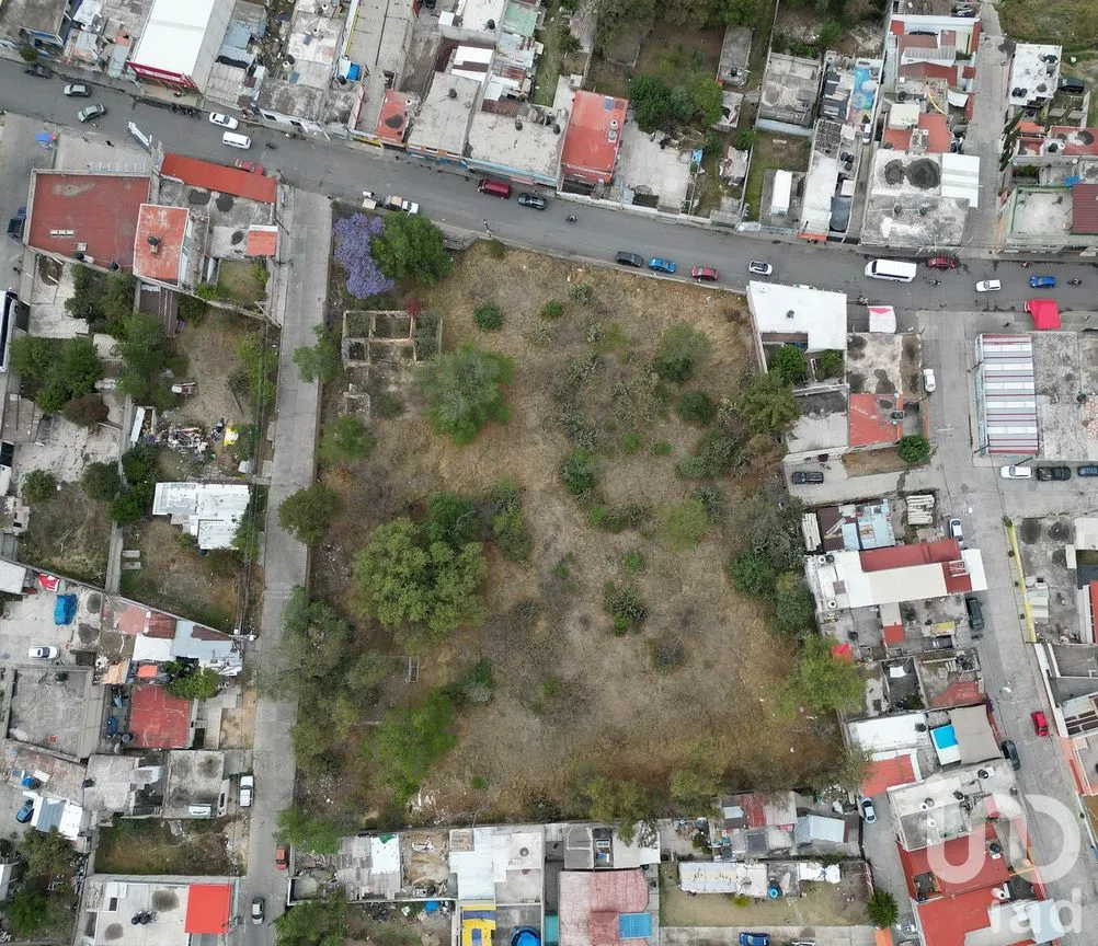 Terreno en Renta en La Colmena, Nicolás Romero, México | NEX-297172 | iad México | Foto 14 de 19