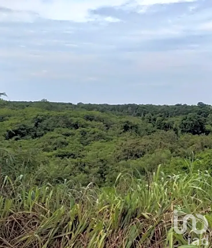 Terreno en Venta en El Aguacate, Coahuayutla de José María Izazaga, Guerrero | NEX-265651 | iad México | Foto 2 de 4