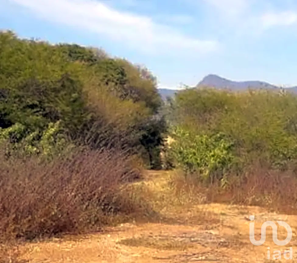 Terreno en Venta en El Aguacate, Coahuayutla de José María Izazaga, Guerrero | NEX-265651 | iad México | Foto 3 de 4