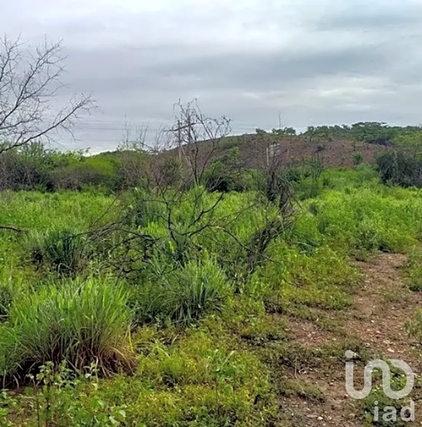 Terreno en Venta en El Aguacate, Coahuayutla de José María Izazaga, Guerrero | NEX-265651 | iad México | Foto 4 de 4