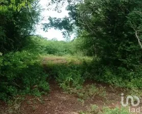 NEX-265651 - Terreno en Venta, con 1 m2 de construcción en El Aguacate, CP 40875, Guerrero.