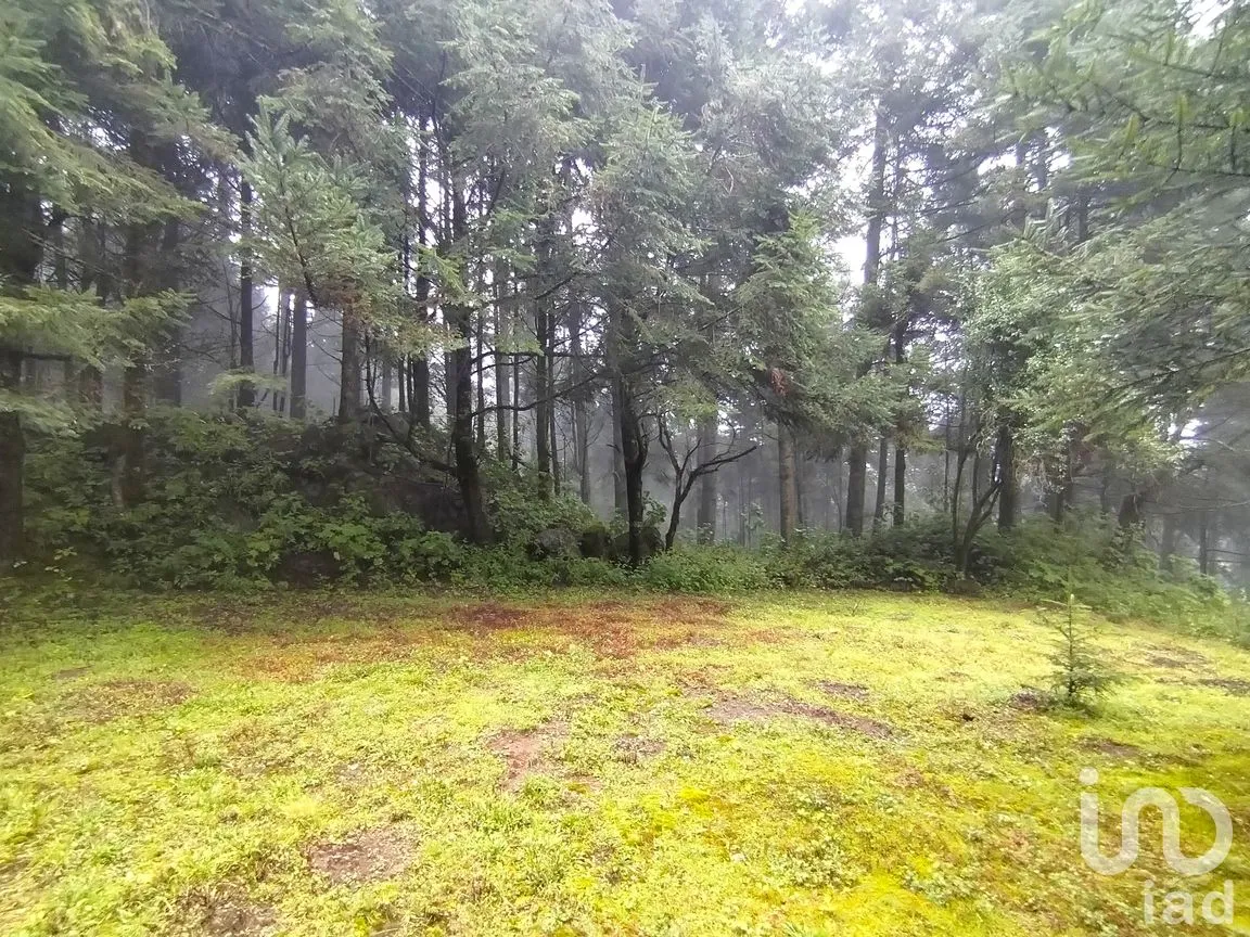 Terreno en Venta en San Miguel Ajusco, Tlalpan, Ciudad de México | NEX-291989 | iad México | Foto 4 de 16