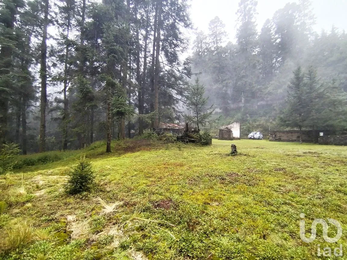 Terreno en Venta en San Miguel Ajusco, Tlalpan, Ciudad de México | NEX-291989 | iad México | Foto 5 de 16