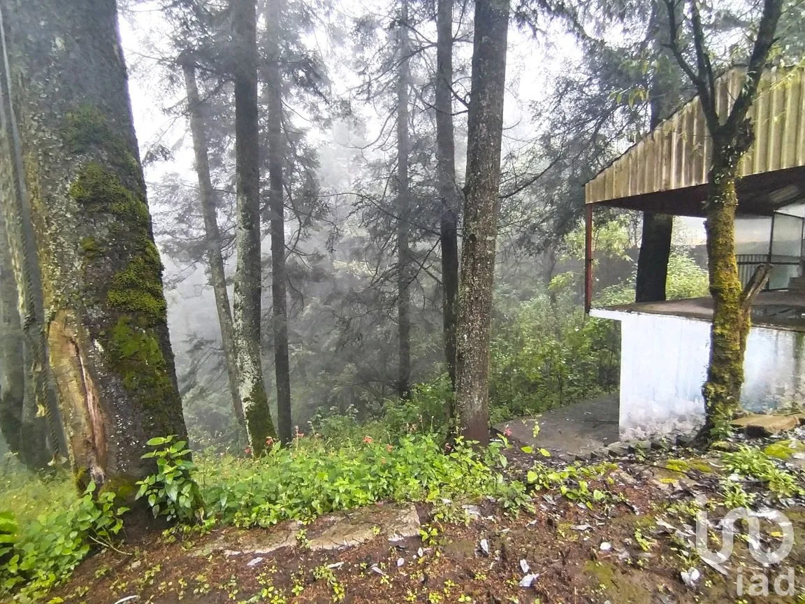 Terreno en Venta en San Miguel Ajusco, Tlalpan, Ciudad de México | NEX-291989 | iad México | Foto 6 de 16