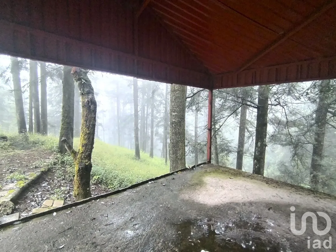 Terreno en Venta en San Miguel Ajusco, Tlalpan, Ciudad de México | NEX-291989 | iad México | Foto 8 de 16
