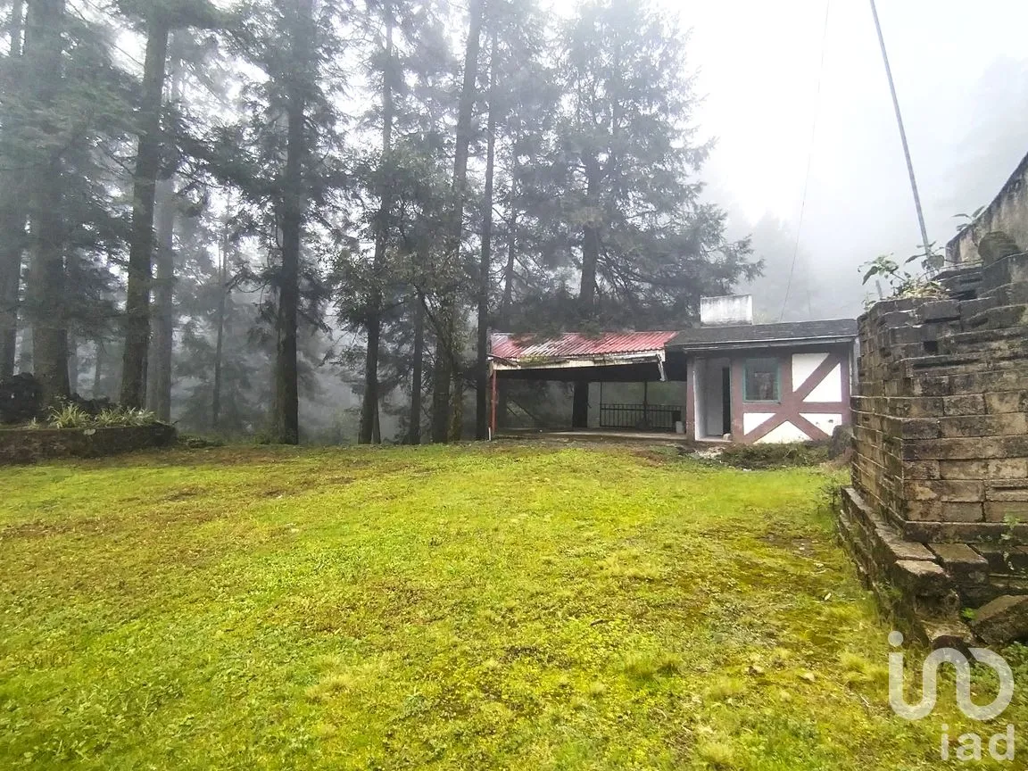 Terreno en Venta en San Miguel Ajusco, Tlalpan, Ciudad de México | NEX-291989 | iad México | Foto 9 de 16