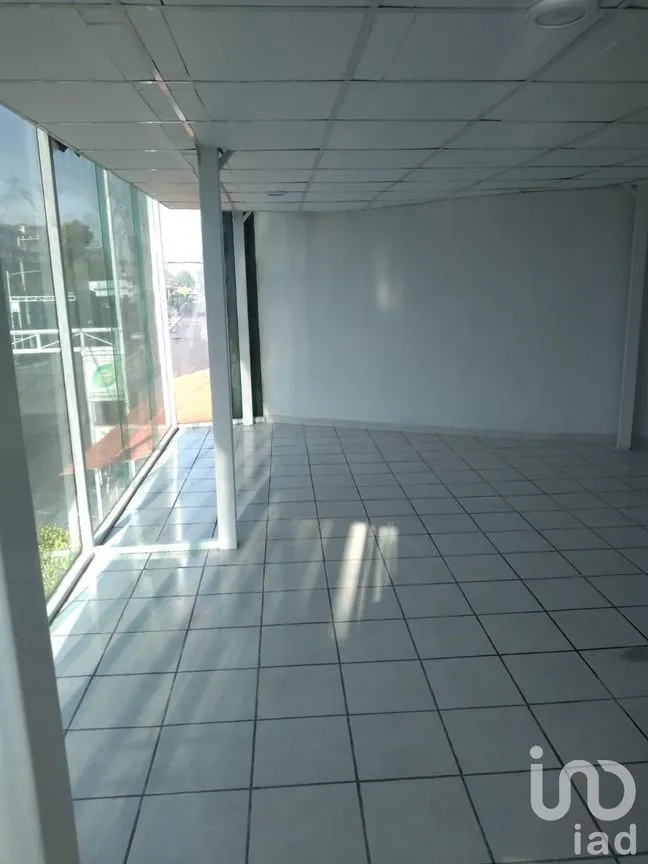 Edificio en Renta en Jardín Balbuena, Venustiano Carranza, Ciudad de México | NEX-247086 | iad México | Foto 11 de 12