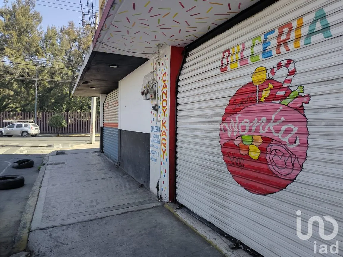 Local en Renta en Ex-Ejido de La Magdalena Mixiuhca, Iztacalco, Ciudad de México | NEX-289659 | iad México | Foto 5 de 7