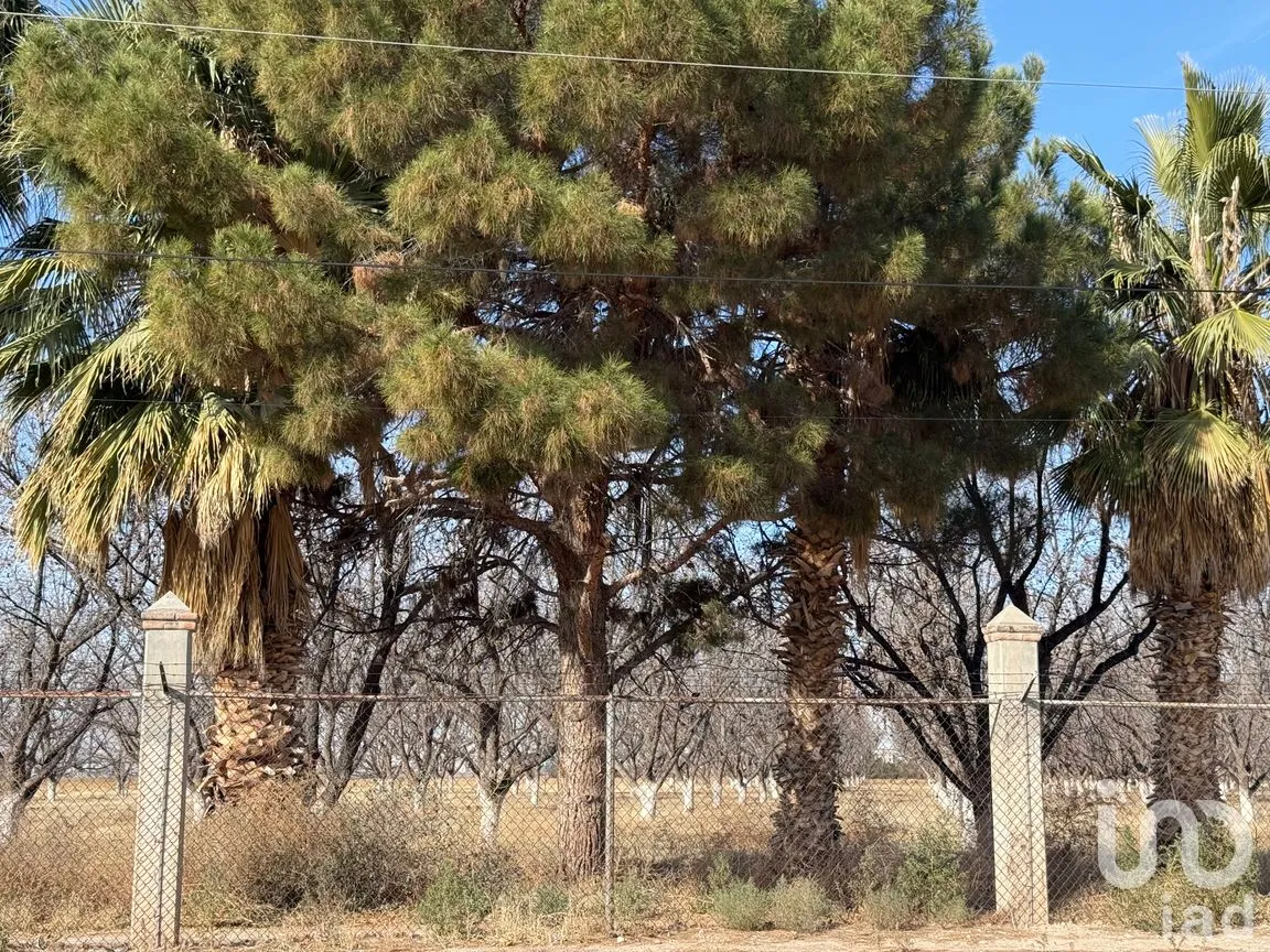 Terreno en Venta en Álamos de Senecu, Juárez, Chihuahua | NEX-264729 | iad México | Foto 11 de 12