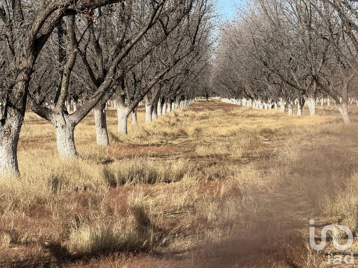 Terreno en Venta en Álamos de Senecu, Juárez, Chihuahua | NEX-264729 | iad México | Foto 4 de 12