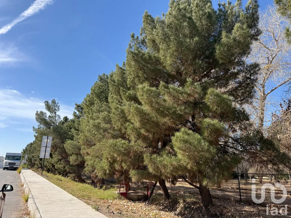 Terreno en Venta en Álamos de Senecu, Juárez, Chihuahua | NEX-264729 | iad México | Foto 5 de 12