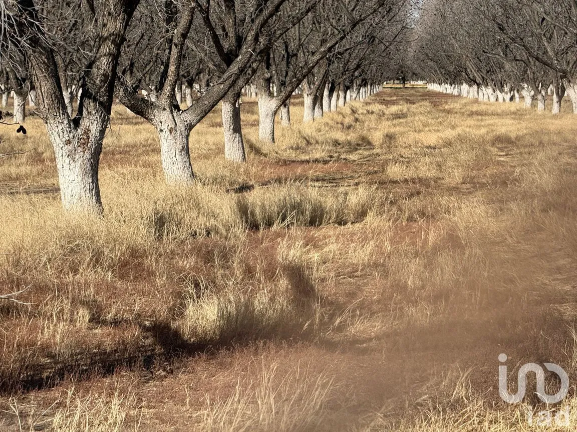 Terreno en Venta en Álamos de Senecu, Juárez, Chihuahua | NEX-264734 | iad México | Foto 2 de 12