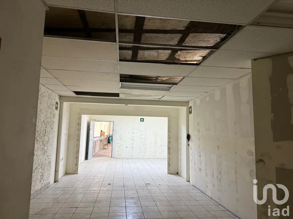 Bodega en Venta en Reforma, Juárez, Chihuahua | NEX-295974 | iad México | Foto 10 de 13
