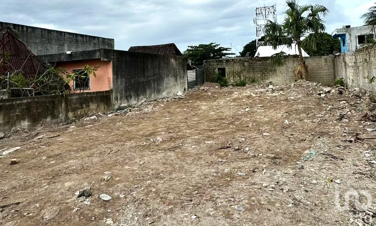 Terreno en Renta en Joaquín Zetina Gasca, Puerto Morelos, Quintana Roo | NEX-264402 | iad México | Foto 1 de 3