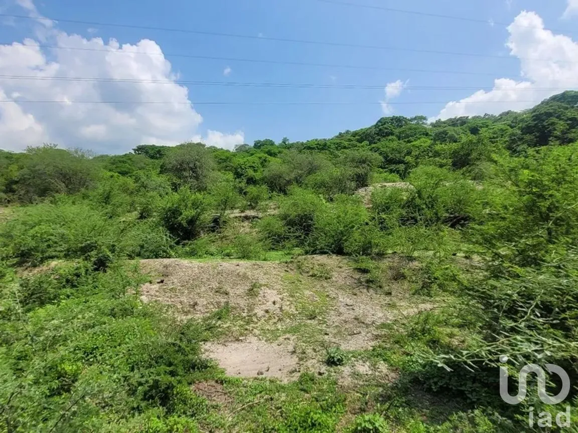 Terreno en Venta en Bonifacio García (Colonia Alejandra), Tlaltizapán de Zapata, Morelos | NEX-266067 | iad México | Foto 2 de 5