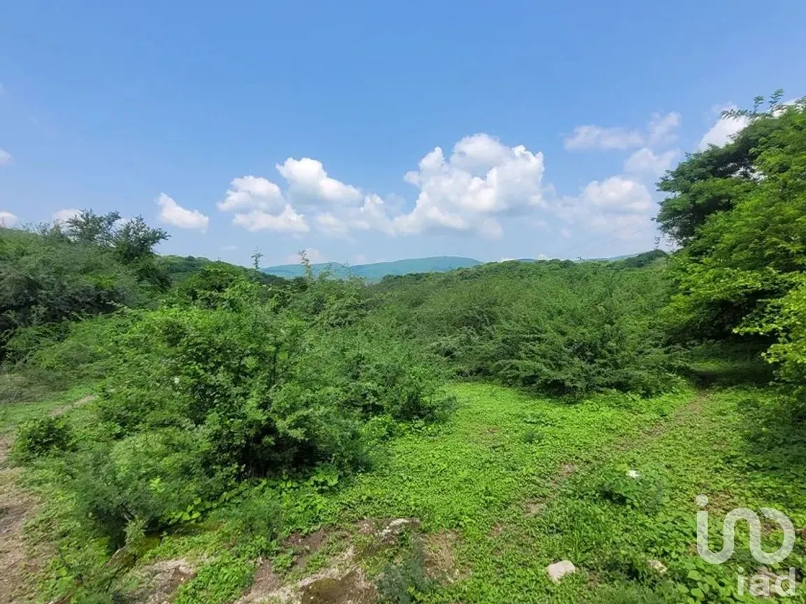 Terreno en Venta en Bonifacio García (Colonia Alejandra), Tlaltizapán de Zapata, Morelos | NEX-266067 | iad México | Foto 1 de 5
