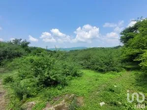 NEX-266067 - Terreno en Venta, con 10000050 m2 de construcción en Bonifacio García (Colonia Alejandra), CP 62774, Morelos.
