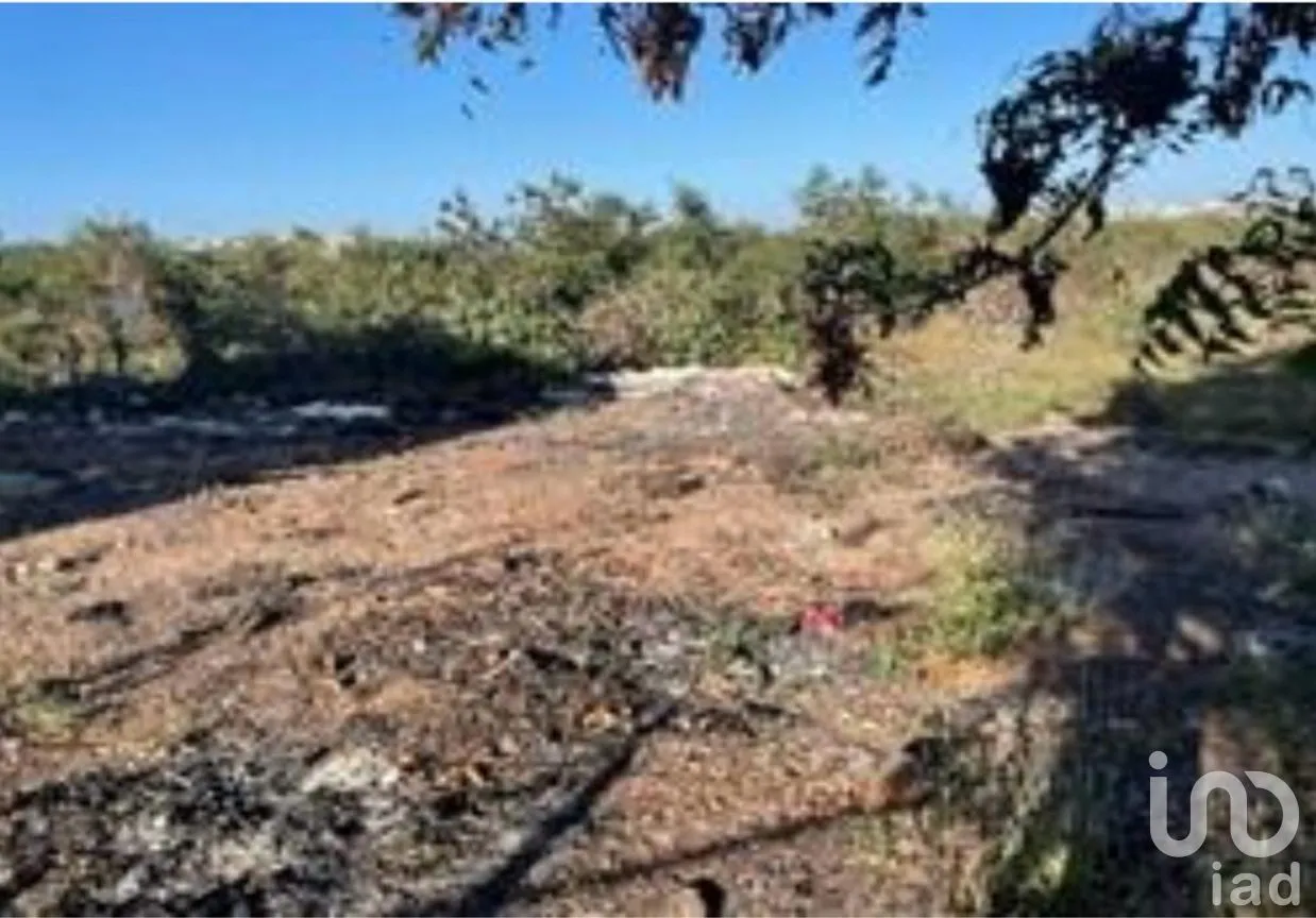 Terreno en Venta en Pedregal del Humaya, Culiacán, Sinaloa | NEX-295128 | iad México | Foto 2 de 6