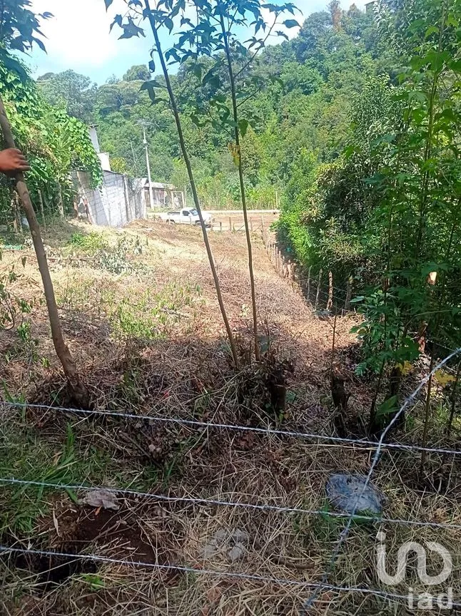 Terreno en Venta en La Aurora, Huauchinango, Puebla | NEX-263212 | iad México | Foto 2 de 7