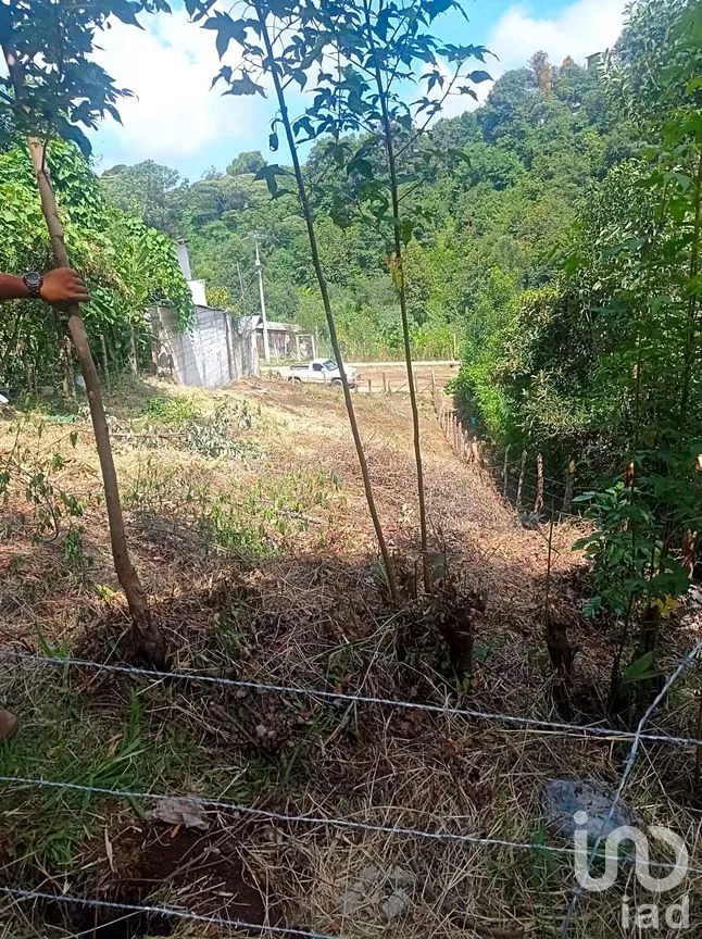 Terreno en Venta en La Aurora, Huauchinango, Puebla | NEX-263212 | iad México | Foto 3 de 7