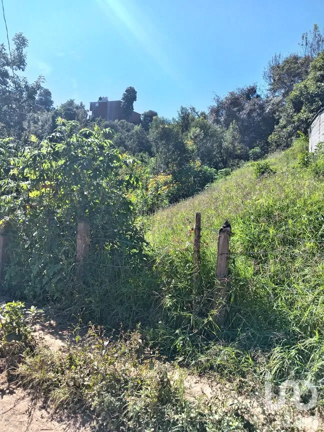 Terreno en Venta en La Aurora, Huauchinango, Puebla | NEX-263212 | iad México | Foto 4 de 7