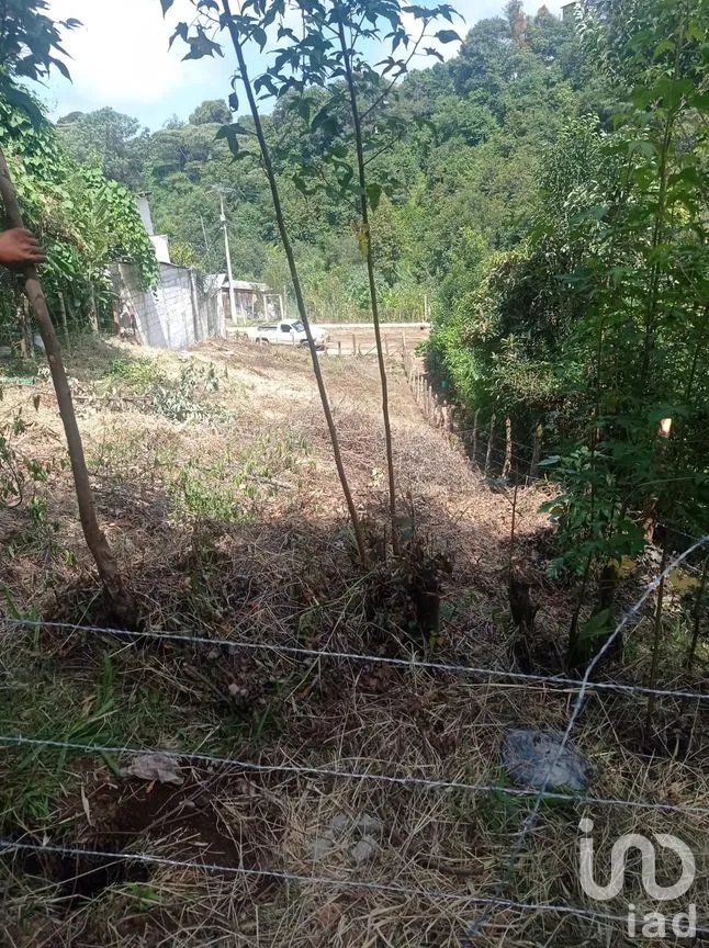 Terreno en Venta en La Aurora, Huauchinango, Puebla | NEX-263212 | iad México | Foto 5 de 7