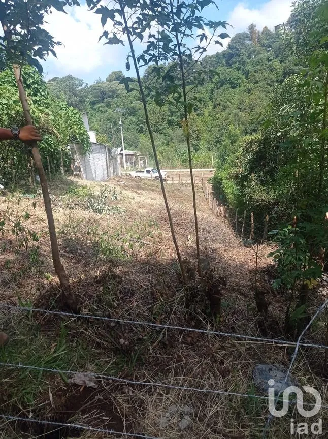 Terreno en Venta en La Aurora, Huauchinango, Puebla | NEX-263212 | iad México | Foto 6 de 7