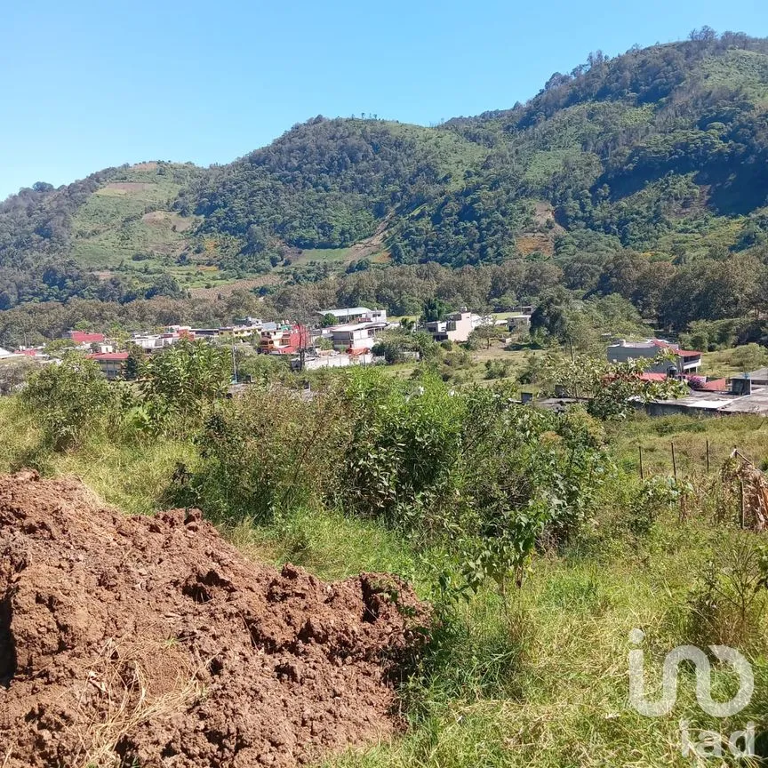 Terreno en Venta en Texcapa, Huauchinango, Puebla | NEX-263234 | iad México | Foto 3 de 6