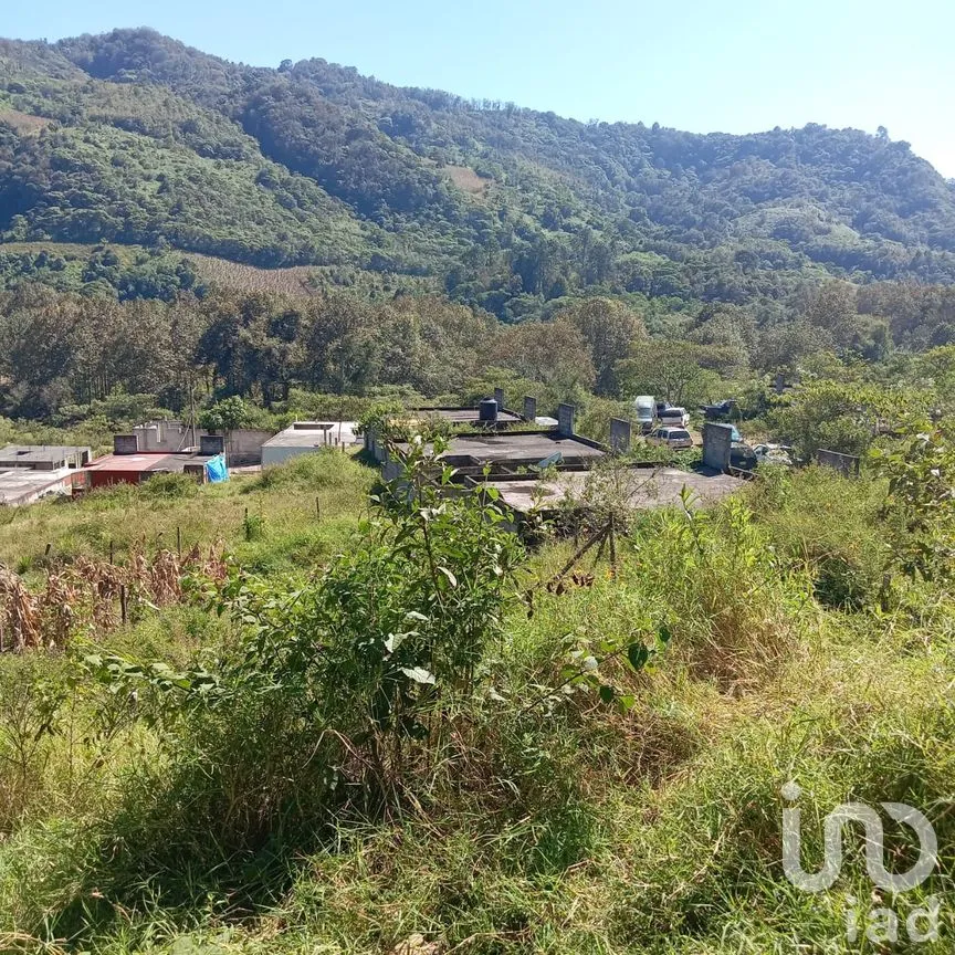Terreno en Venta en Texcapa, Huauchinango, Puebla | NEX-263234 | iad México | Foto 4 de 6