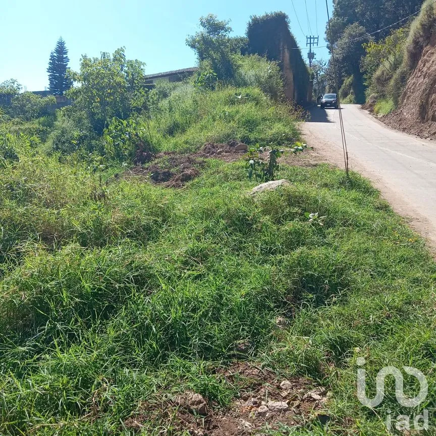 Terreno en Venta en Texcapa, Huauchinango, Puebla | NEX-263234 | iad México | Foto 5 de 6
