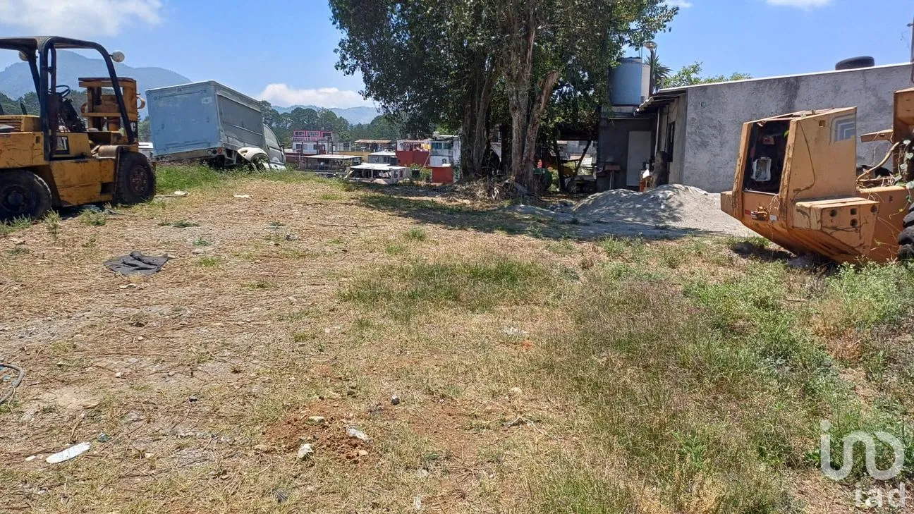 Terreno en Renta en Huauchinango Centro, Huauchinango, Puebla | NEX-289976 | iad México | Foto 3 de 8