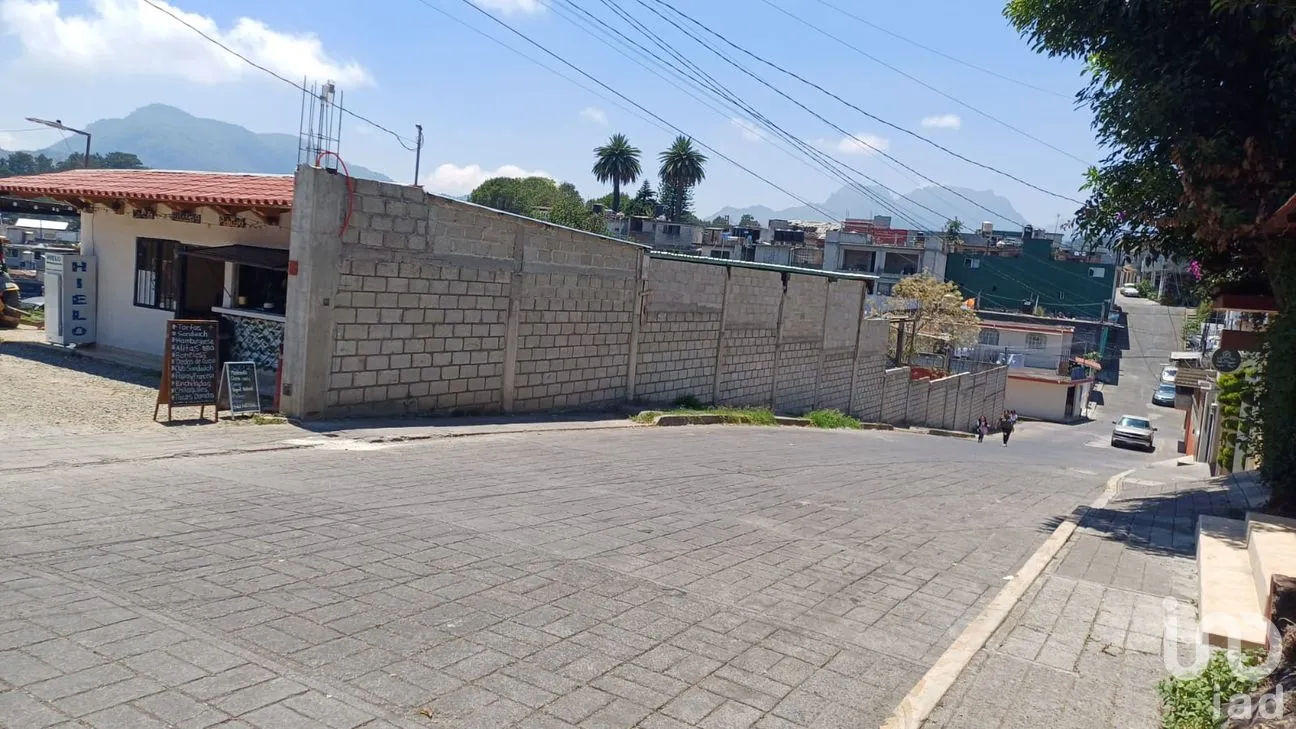 Terreno en Renta en Huauchinango Centro, Huauchinango, Puebla | NEX-289976 | iad México | Foto 6 de 8