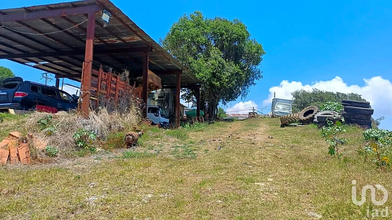 Terreno en Renta en Huauchinango Centro, Huauchinango, Puebla | NEX-289976 | iad México | Foto 8 de 8