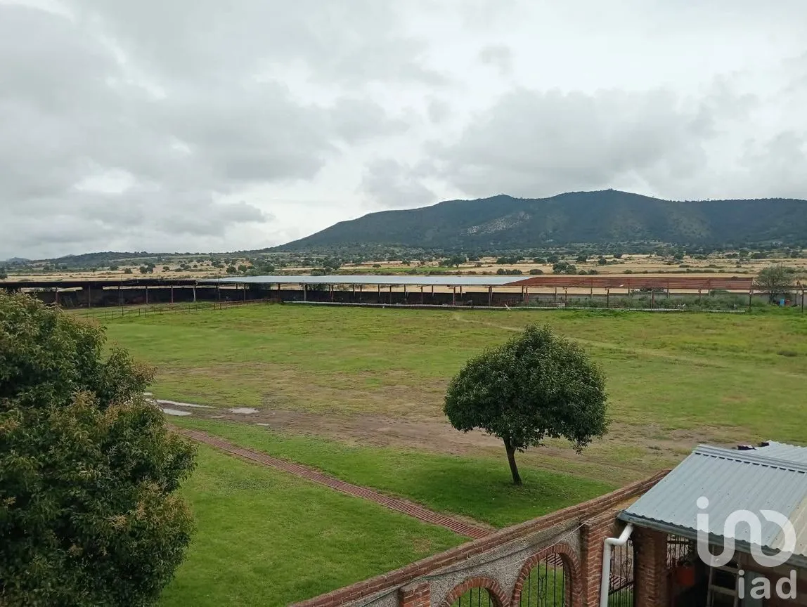 Terreno en Venta en Santo Tomás, Zempoala, Hidalgo | NEX-290203 | iad México | Foto 3 de 12