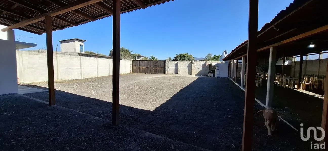 Bodega en Renta en Zacamila, Huauchinango, Puebla | NEX-294113 | iad México | Foto 10 de 12