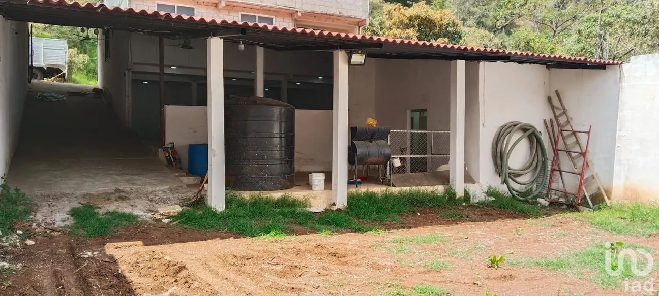 Bodega en Renta en Texcapa, Huauchinango, Puebla | NEX-295791 | iad México | Foto 4 de 10