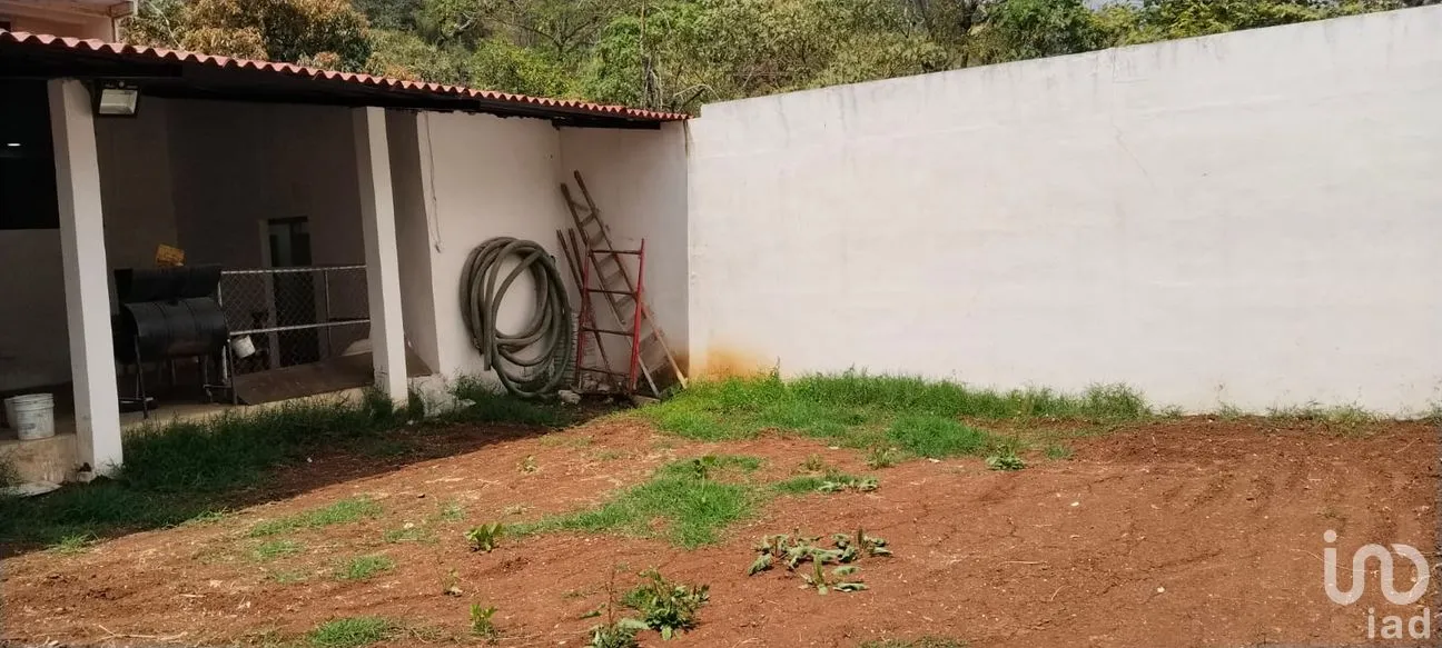 Bodega en Renta en Texcapa, Huauchinango, Puebla | NEX-295791 | iad México | Foto 6 de 10