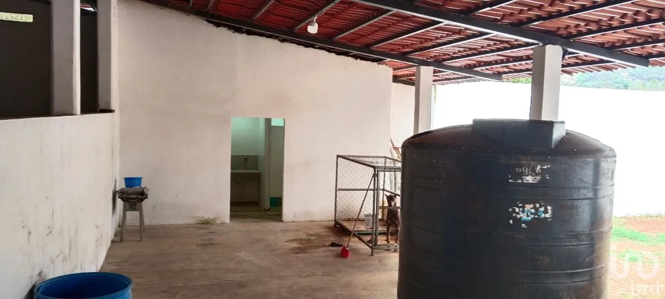 Bodega en Renta en Texcapa, Huauchinango, Puebla | NEX-295791 | iad México | Foto 8 de 10