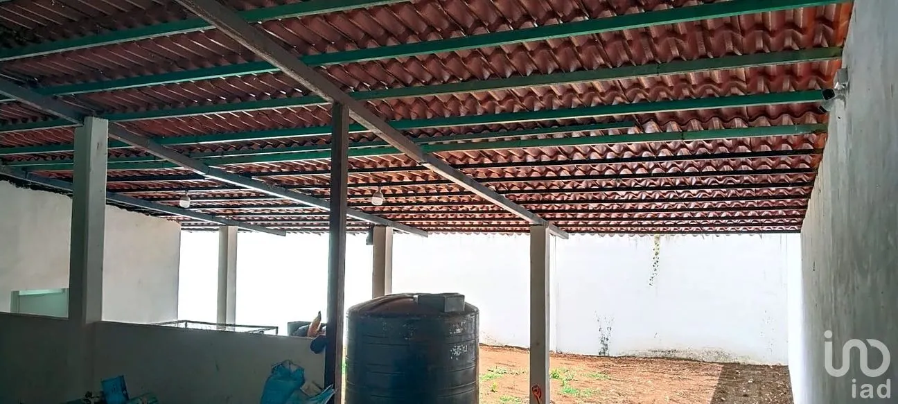 Bodega en Renta en Texcapa, Huauchinango, Puebla | NEX-295791 | iad México | Foto 9 de 10