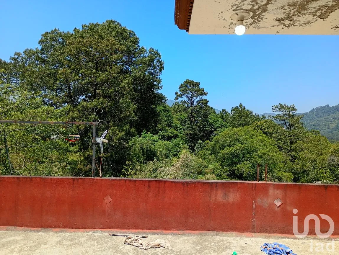 Casa en Renta en El Derrumbe, Huauchinango, Puebla | NEX-297120 | iad México | Foto 19 de 22