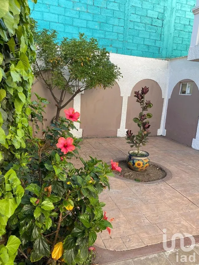 Casa en Renta en 18 de Marzo, Pachuca de Soto, Hidalgo | NEX-299444 | iad México | Foto 25 de 27