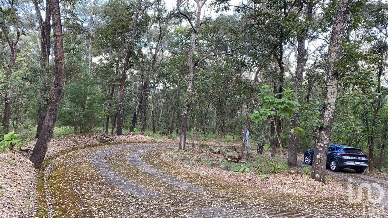 Terreno en Venta en Teuchitlán, Teuchitlán, Jalisco | NEX-254439 | iad México | Foto 6 de 15